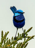 Blue Wren（45X35cm）-Full Drill Round Drill-Diamond Painting